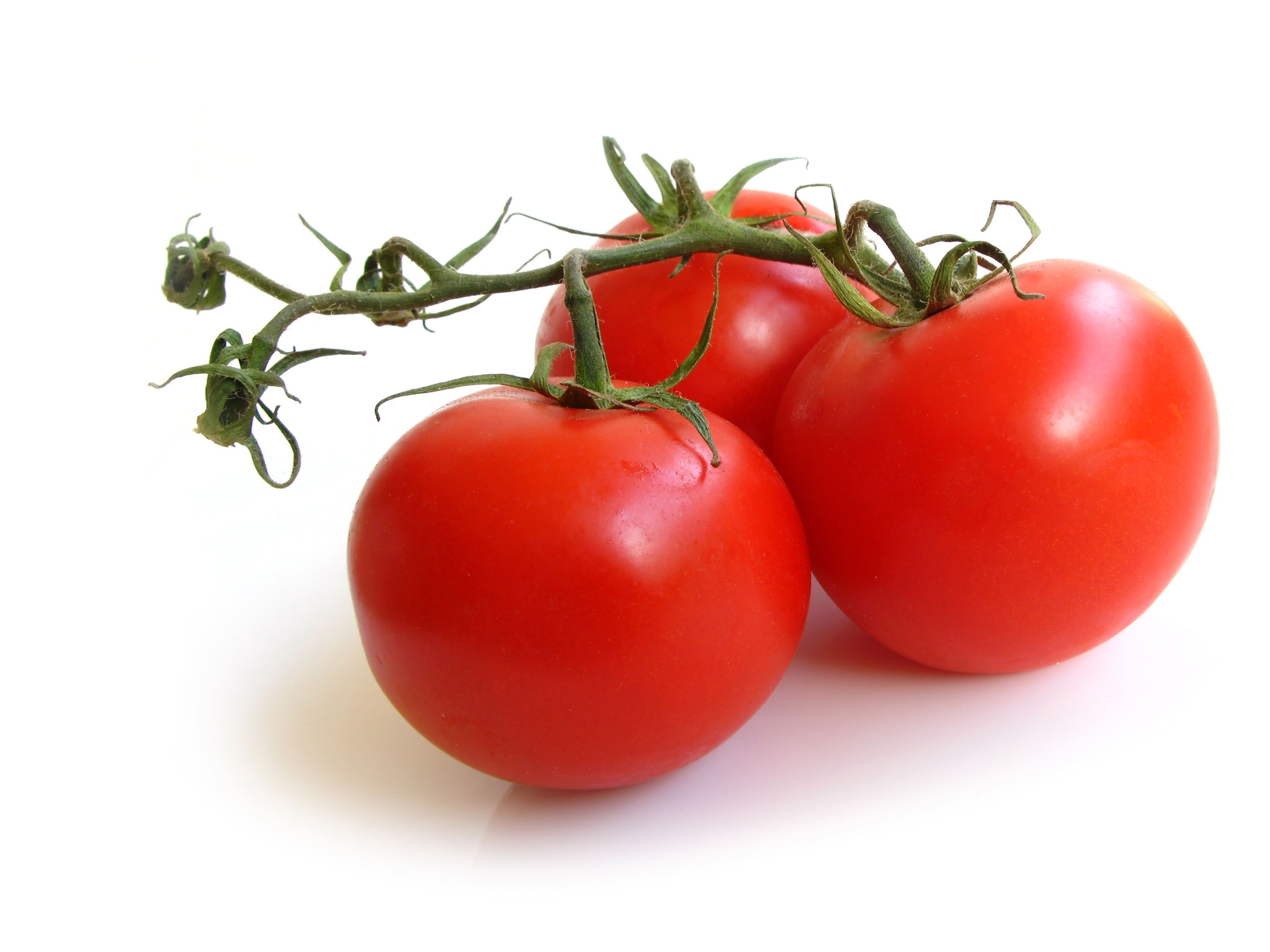 tomatosalad